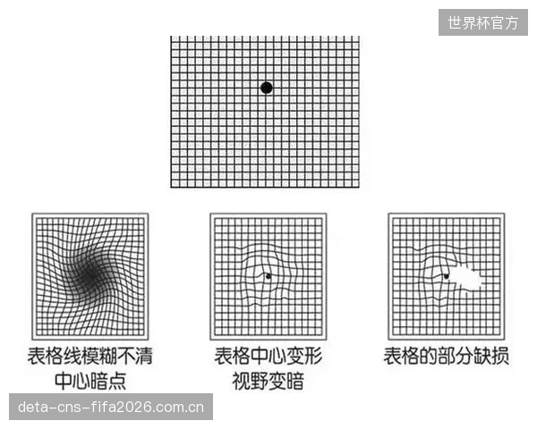 过度宣传“多频段过滤”正在模糊焦点，多数用户对复杂技术名词的疲劳感暴露了体育科技的营销误区